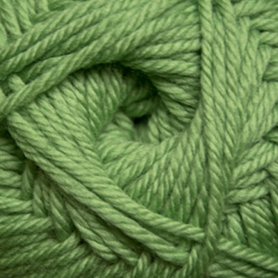 Cascade 220 Superwash Merino