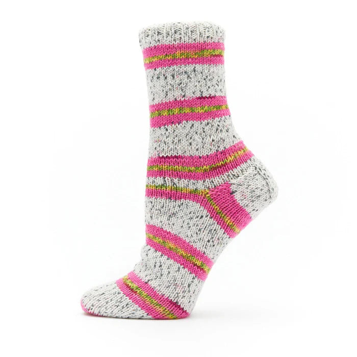 Premier Fruit Socks
