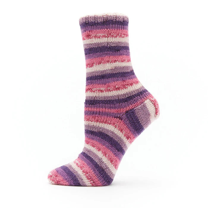 Premier Fruit Socks
