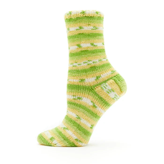 Premier Fruit Socks