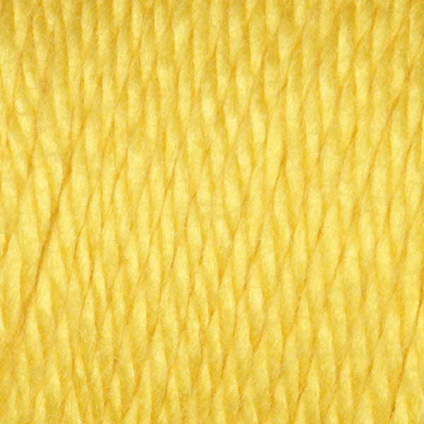 Caron Simply Soft