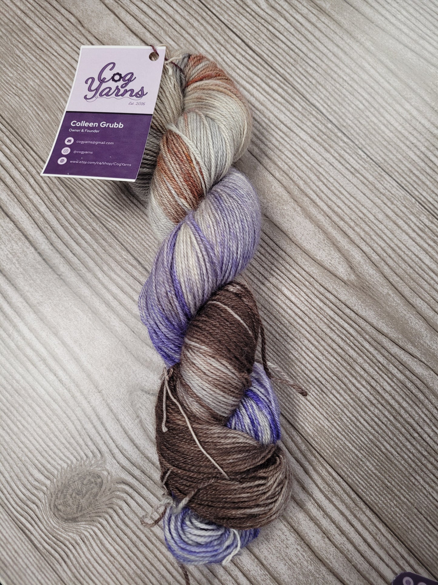 Cog Yarns - BFL Silk Sock