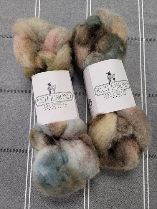 Loch Lomond Dyed Roving - Clun Forest