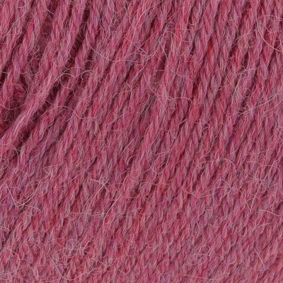 Alpaca Soxx