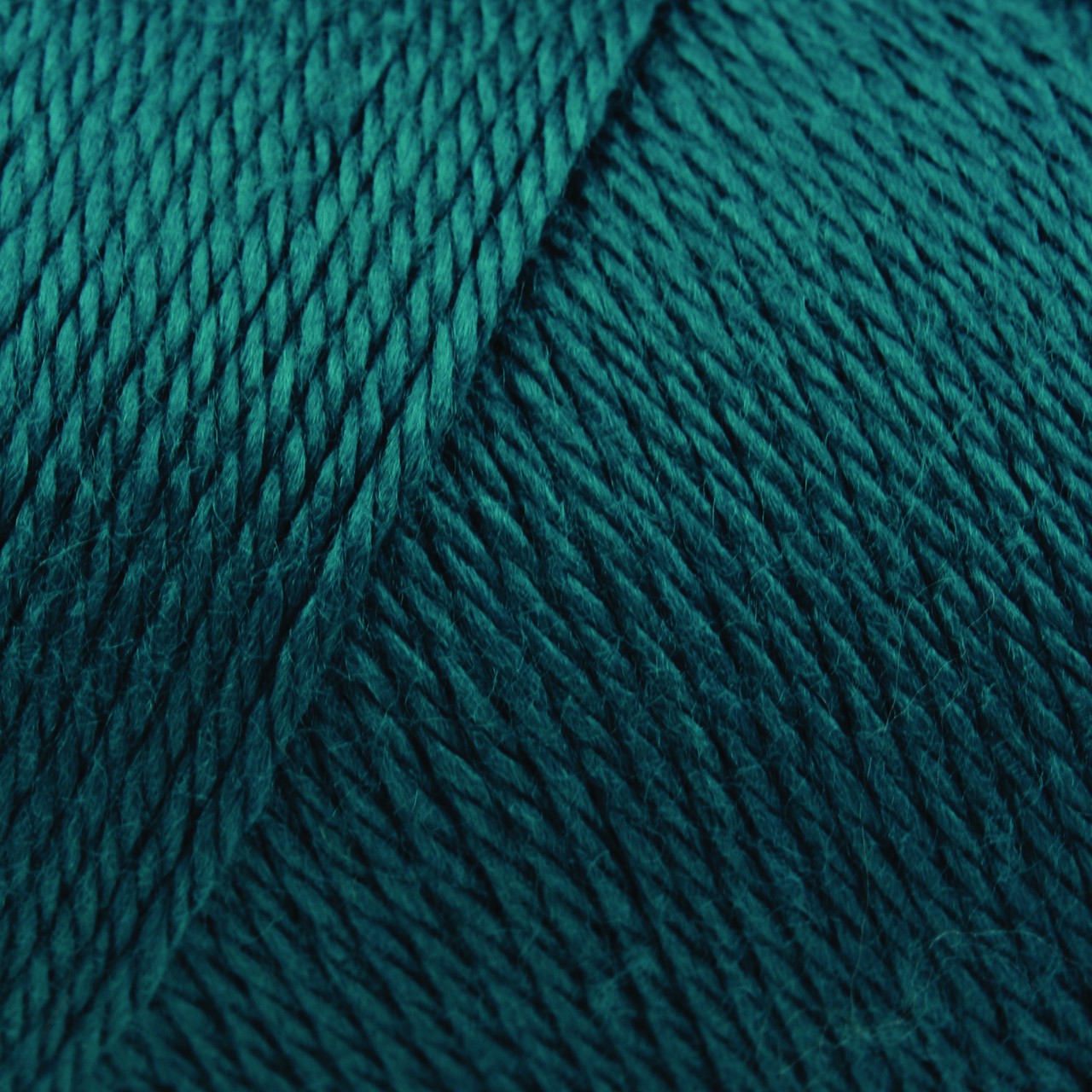 Caron Simply Soft