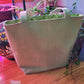Project Bags by Susan Easton