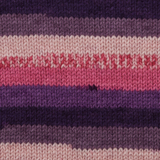 Premier Sweet Roll Fruits