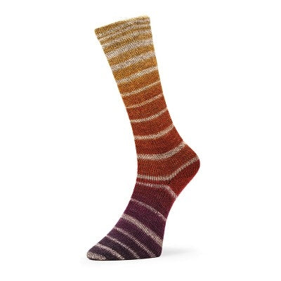 Evolution Aurora Sock (Matching Socks)