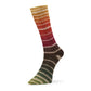 Evolution Aurora Sock (Matching Socks)