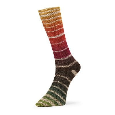 Evolution Aurora Sock (Matching Socks)