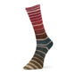 Evolution Aurora Sock (Matching Socks)