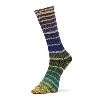 Evolution Aurora Sock (Matching Socks)