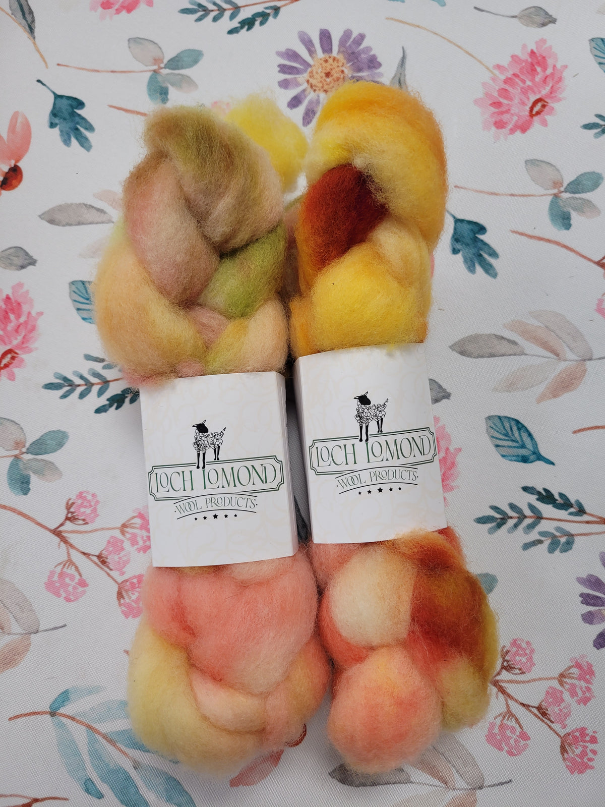 Loch Lomond Dyed Roving - Clun Forest