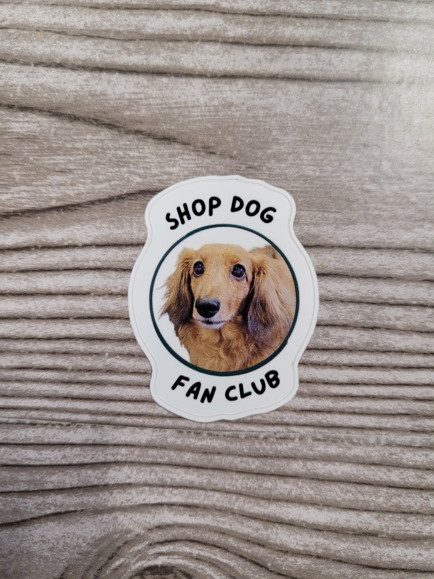 Vinyl Stickers
