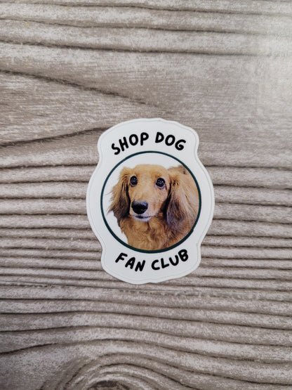 Vinyl Stickers