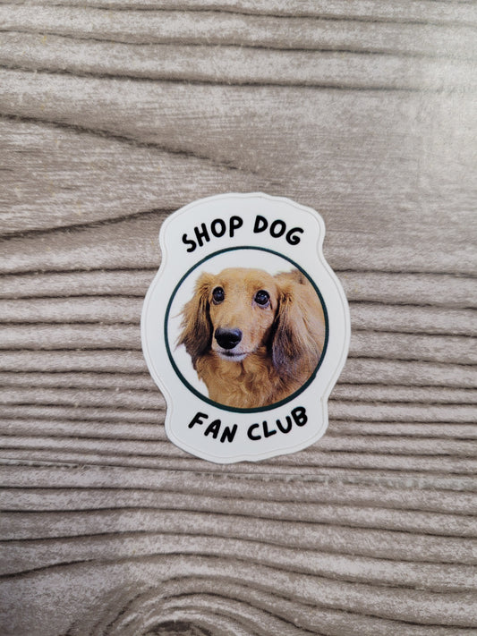 Vinyl Stickers
