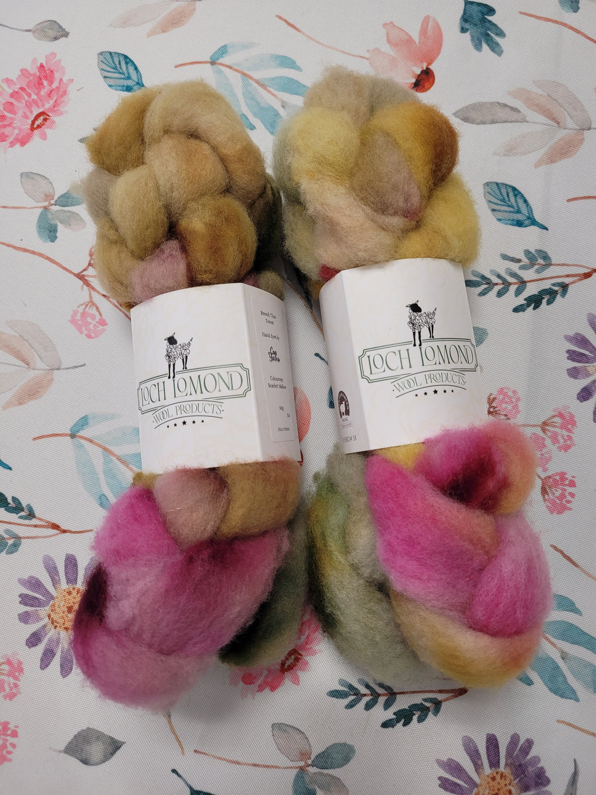 Loch Lomond Dyed Roving - Clun Forest