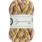 WYS - Signature 4ply Country Birds