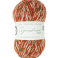 WYS - Signature 4ply Christmas