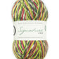 WYS - Signature 4ply Country Birds