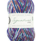 WYS - Signature 4ply Country Birds